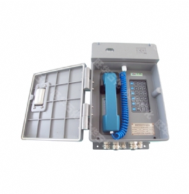 全天候話(huà)站（網(wǎng)絡(luò)型） 